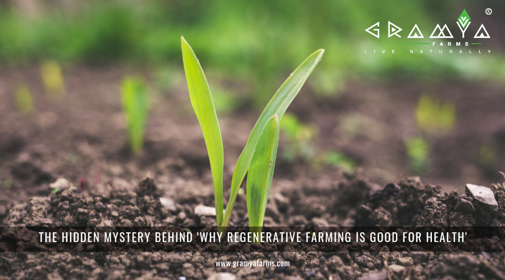 The hidden mystery behind 'Why Regenerative Farming is Good for Health'?