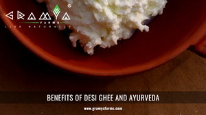 Benefits of Desi Ghee and Ayurveda