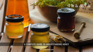 A complete guide to understanding honey