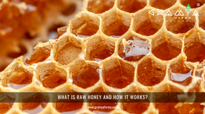 What is Raw Honey and how it works?