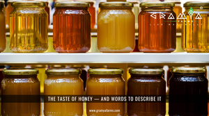 The Taste of Honey — and Words to Describe it